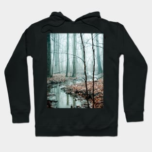 Winding Creek Hoodie